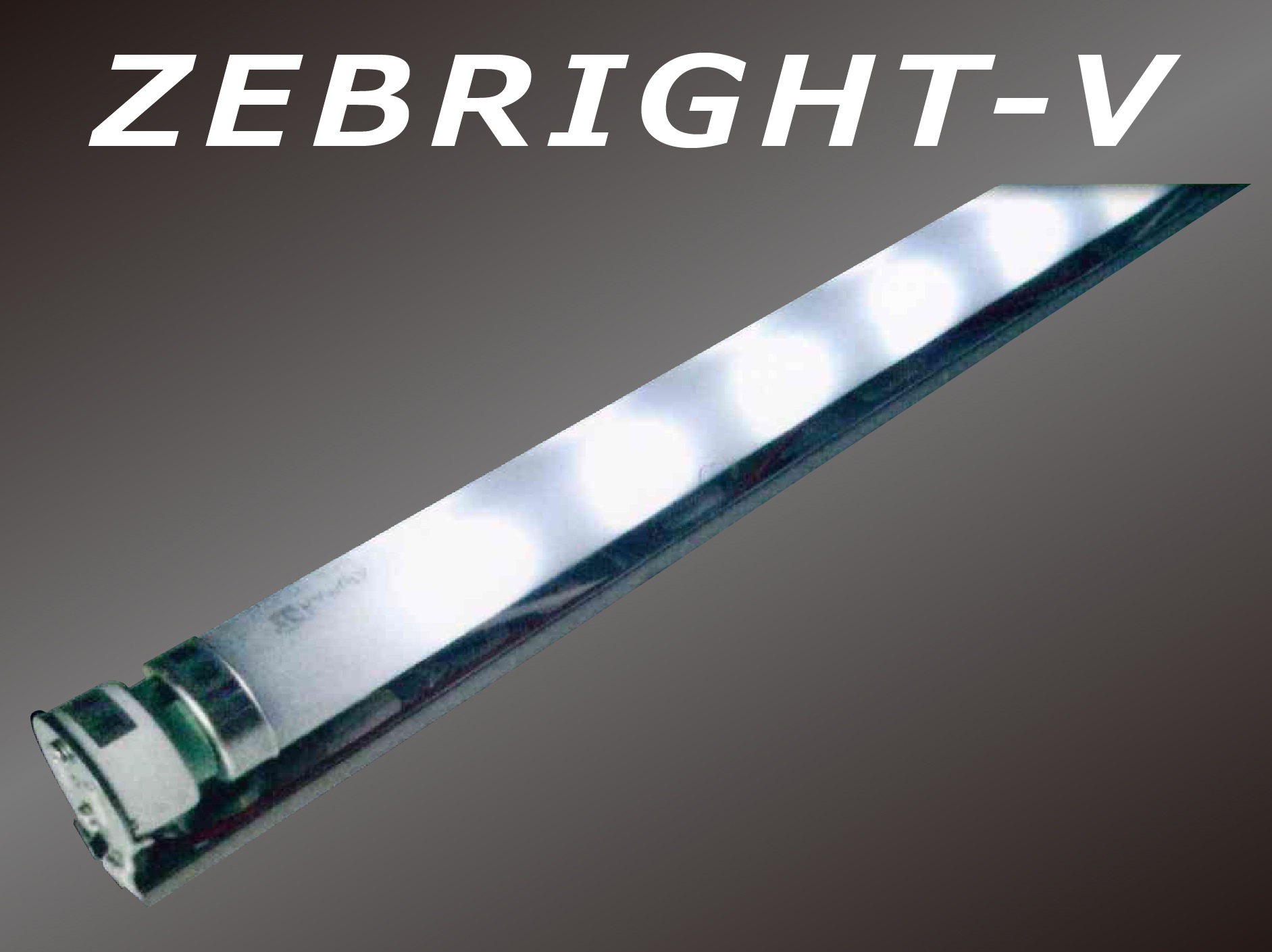 ZEBRIGHT-V2